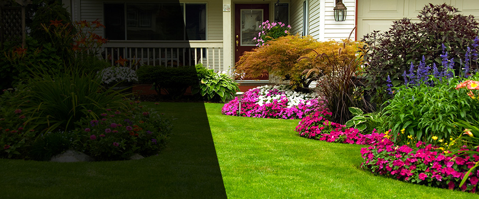 Zelienople Landscapers