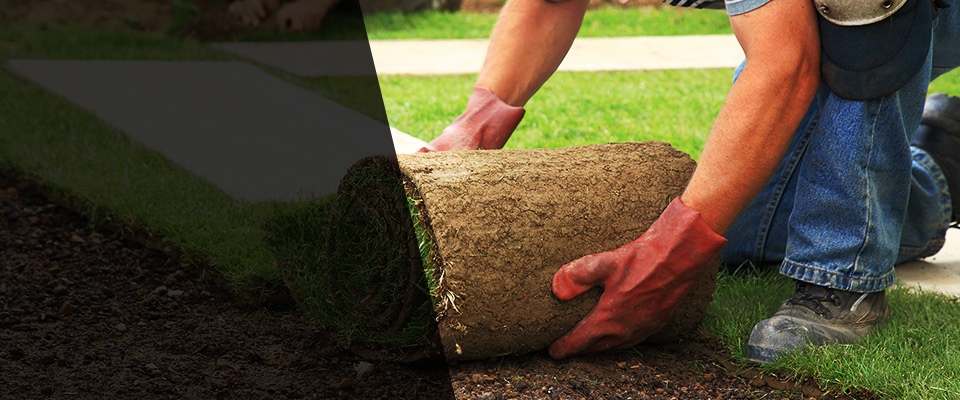 Zelienople Landscapers
